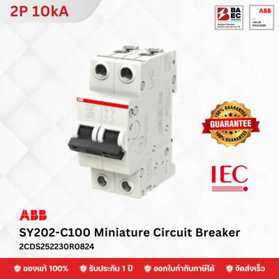 ABB Miniature Circuit Breaker SY202-C 100A 2P 10KA