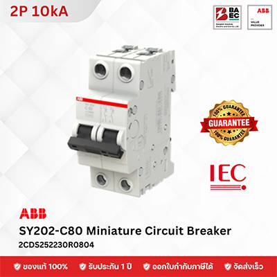 ABB Miniature Circuit Breaker SY202-C 80A 2P 10KA