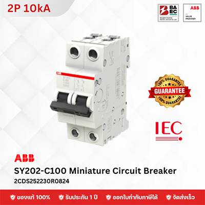 ABB Miniature Circuit Breaker SY202-C 100A 2P 10KA